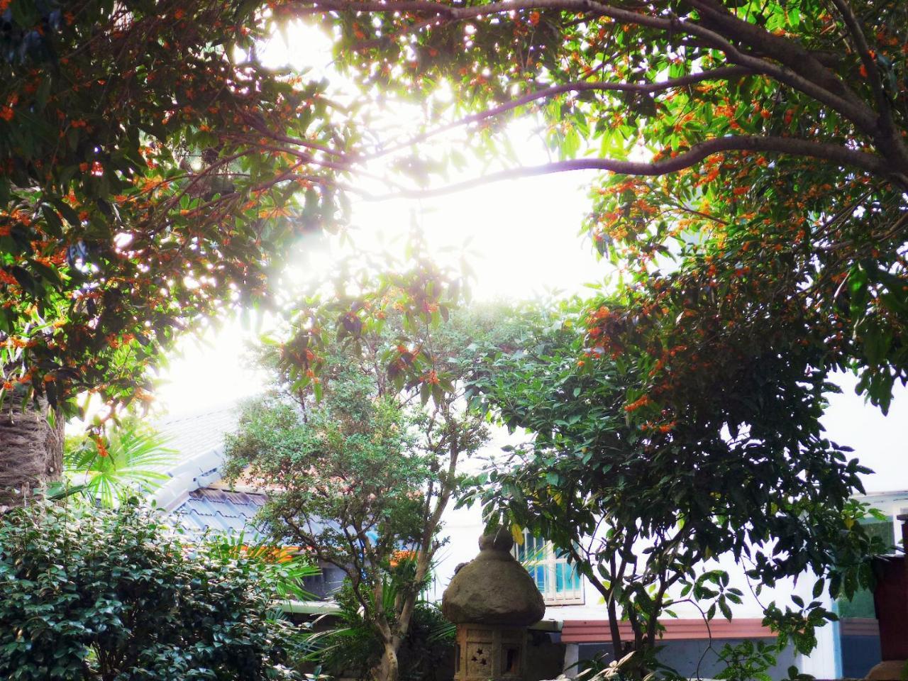 Picasso Guesthouse Mokpo Dış mekan fotoğraf